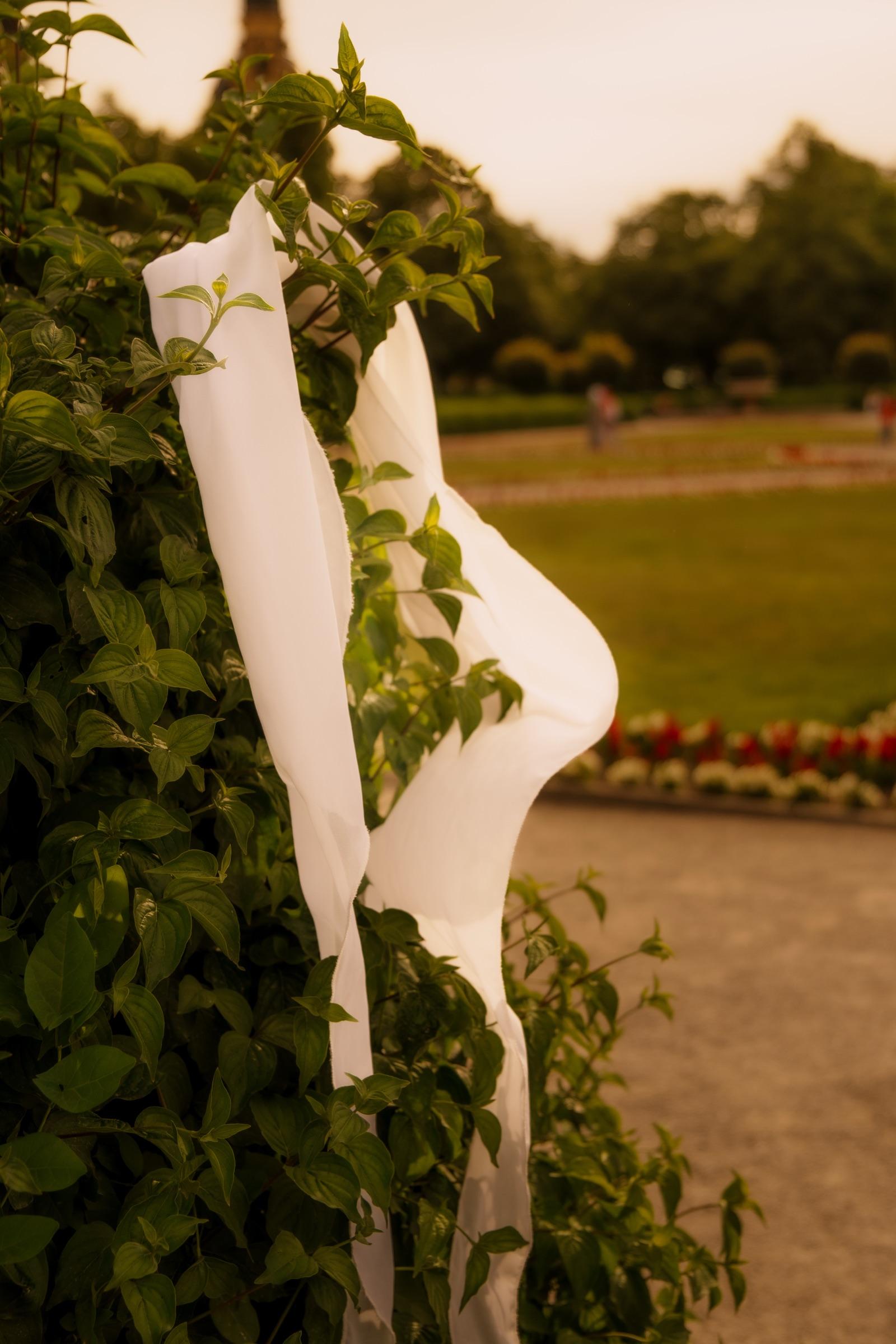 White fabric draped over greenery in a formal garden
